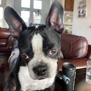 Meet your Posher, Melanie